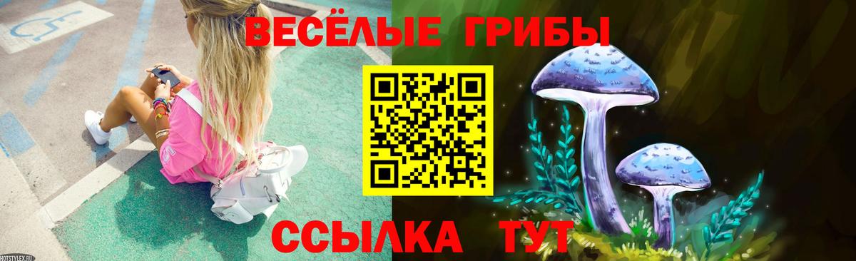Псилоцибиновые грибы GOLDEN TEACHER Тосно